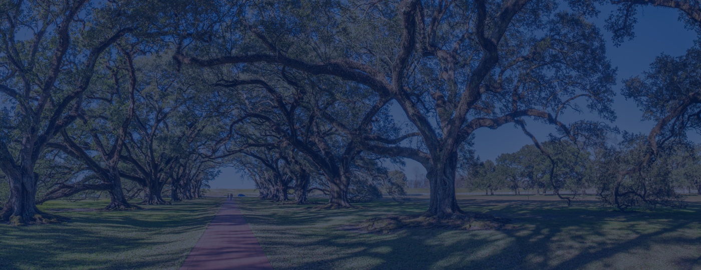 Jason De Leon Banner