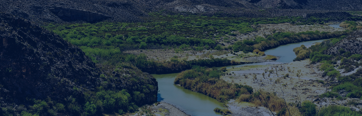 Laredo Banner